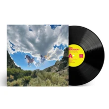 Vinyl FANTASTIC THOUGHTS