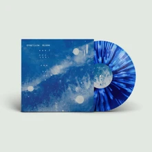 Vinyl BLOOM