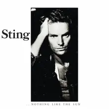 CD Nothing Like The Sun (Enhanced Edition)