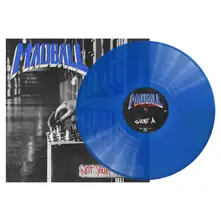 Madball, Vinyl NOT YOUR KINGDOM