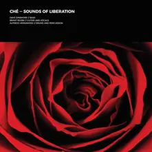 SOUNDS OF LIBERATION thumbnail