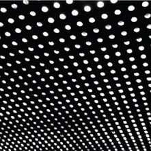 Beach House, Vinyl BLOOM