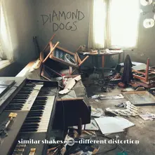 CD SIMILAR SHAKES DIFFERE...