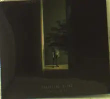 TRAVELING BLIND thumbnail