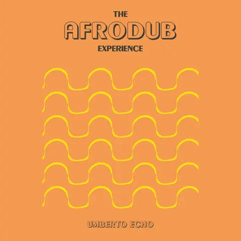 THE AFRODUB EXPERIENCE