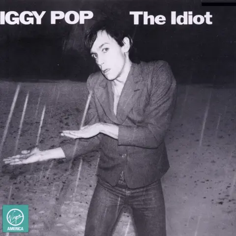 IDIOT