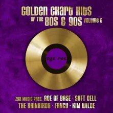 Various Artists – GOLDEN CHART HITS OF THE 80S & 90S VOL. 6 (Vinyl)