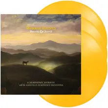 Warren Haynes, Vinyl DREAMS & SONGS