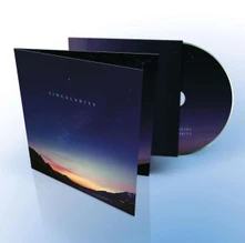 CD HOPKINS, JON - SINGULARITY