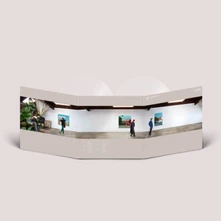 Dirty Projectors, Vinyl 5EPS