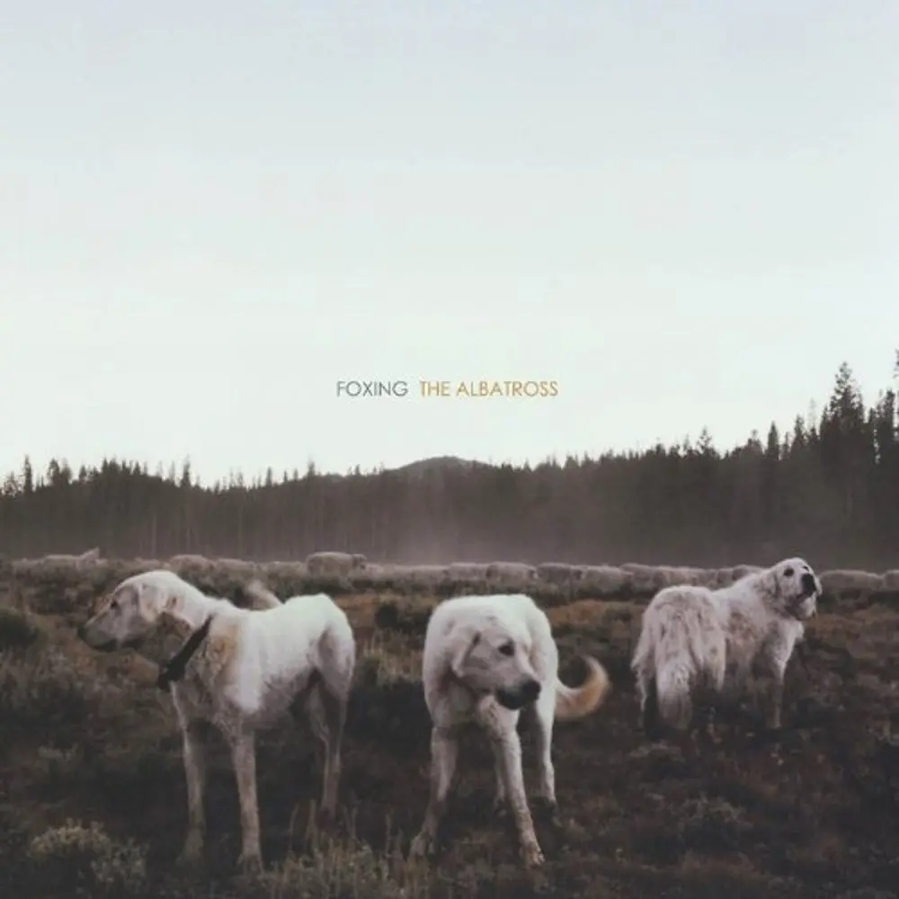 Foxing – THE ALBATROSS (Vinyl)
