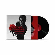 The Kooks, Vinyl NEVER/KNOW