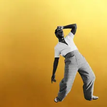 CD GOLD-DIGGERS SOUND