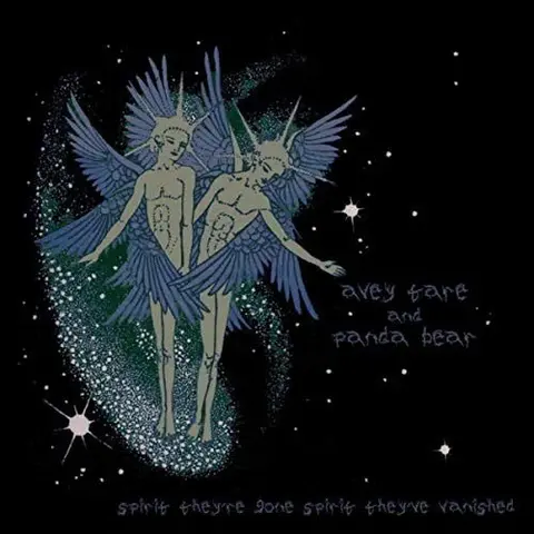 Animal Collective – CD SPIRIT THEY'RE GONE, SPIRIT THEY'VE VANISHED