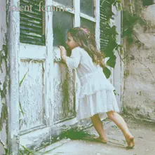 VIOLENT FEMMES (2024) (Vinyl)