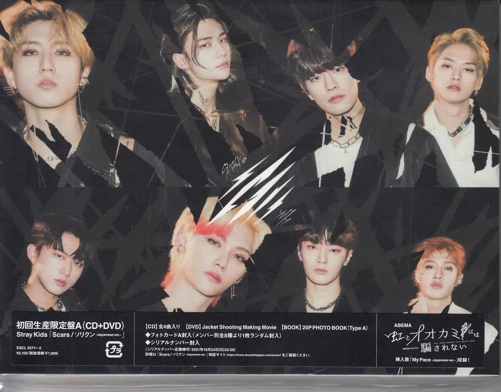 Stray Kids – Scars/Sorikun (CD)