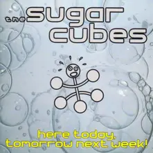 CD SUGARCUBES - HERE TODAY, TOMORROW NEXT WEEK!