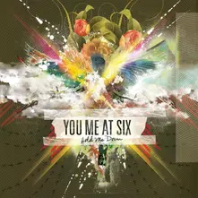 You Me At Six, Vinyl HOLD ME DOWN