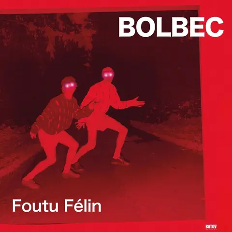 FOUTU FELIN