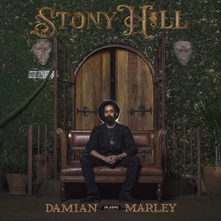 Vinyl STONY HILL