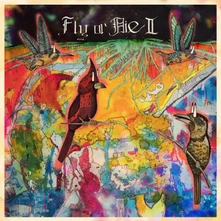 Jaimie Branch, Vinyl FLY OR DIE II