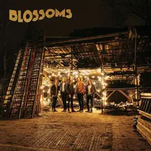 BLOSSOMS thumbnail
