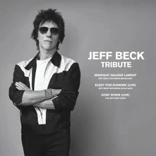 Jeff Beck, Vinyl TRIBUTE (BLACK FRIDAY RSD 2023)