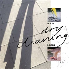 Vinyl NEW LONG LEG