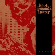 Black Swamp Water, CD AWAKENING