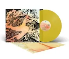 Vinyl FOCUS