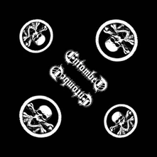 Šatka Skull Logo