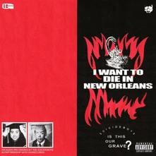 Vinyl I WANT TO DIE IN NEW O...