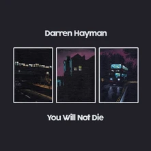 Darren Hayman, Vinyl YOU WILL NOT DIE