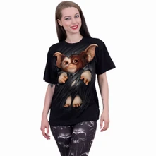 Gizmo thumbnail