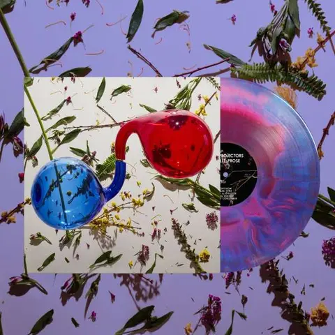 Dirty Projectors – Vinyl LAMP LIT PROSE (Red/Blue Vinyl)