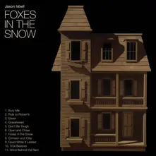 CD FOXES IN THE SNOW