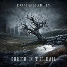 Dom Martin – BURIED IN THE HAIL (Vinyl)