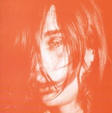 Vinyl MICROCASTLE/WEIRD ERA CONTINUED