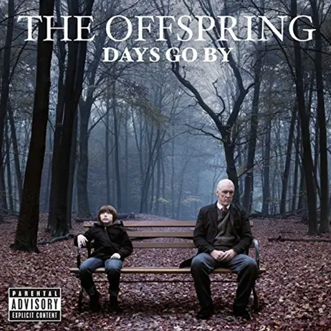 DAYS GO BY