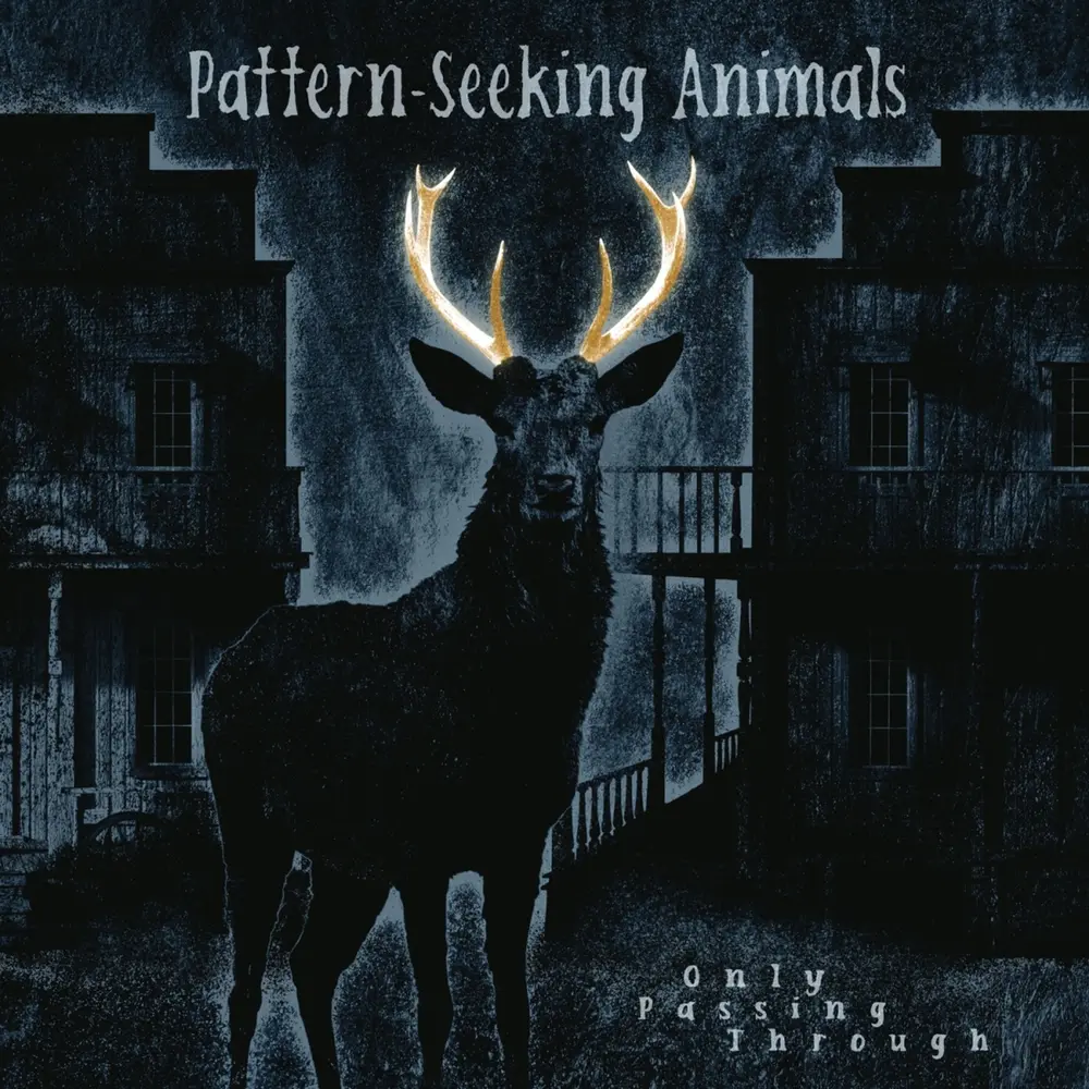 Seeking Animals - Only Passing Through