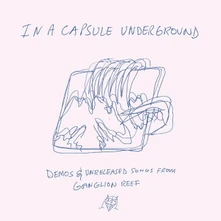 Wand, Vinyl IN A CAPSULE UNDERGROUND