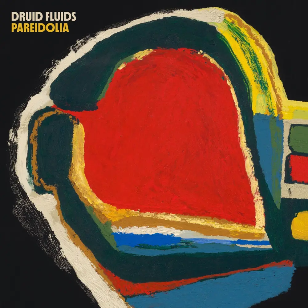 PAREIDOLIA