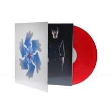 Vinyl HOLOMRAZ