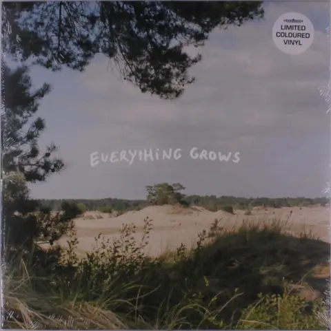 EVERYTHING GROWS