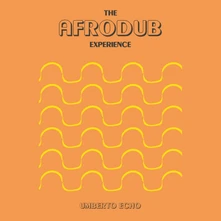 CD THE AFRODUB EXPERIENCE