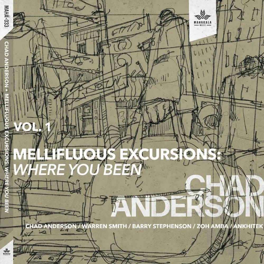 Chad Anderson – MELLIFLUOUS EXCURSIONS VOL.1: WHERE YOU BEEN (CD)