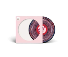 Take That, Vinyl Everything Changes (Zoetrope National Album Day 2024 Edition)