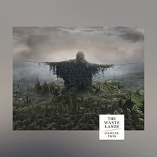 Vinyl WASTELANDS