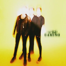 The Band Camino, Vinyl THE BAND CAMINO