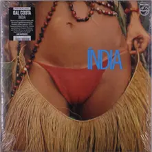 Vinyl INDIA
